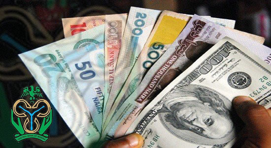CBN Injects $210m Into Forex Market