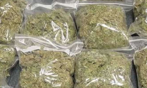 NDLEA Arrests Suspect With 1,072 kg Of Marijuana In Niger