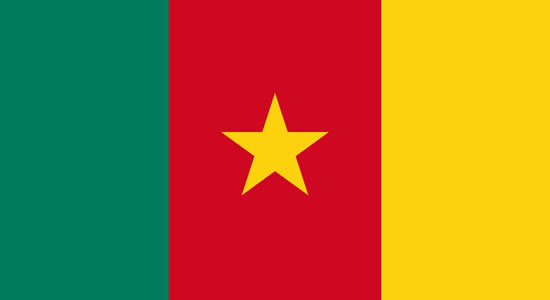 Cameroon Bans Southern Cameroun English-Language TV Channel