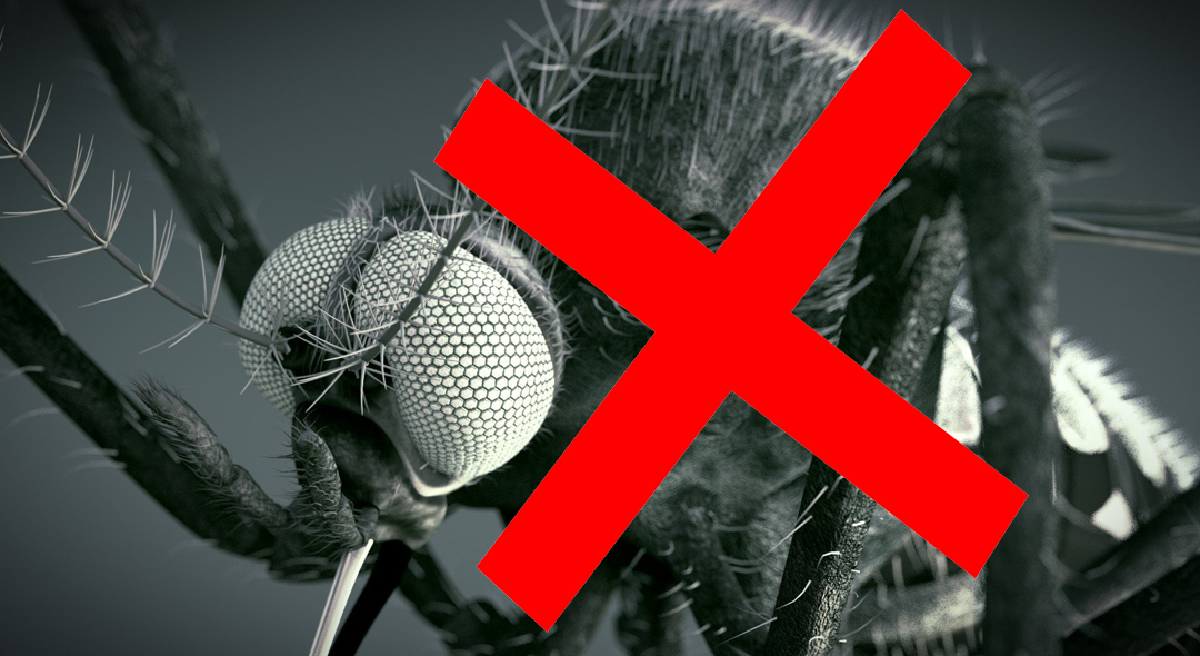 Man banned from Twitter over mosquito death threat