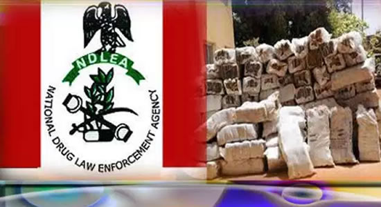 NDLEA Apprehends 34 Suspects Over Drug Trafficking In Abuja