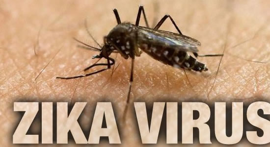 Surprising Study Finds Zika Virus May Actually Save Lives