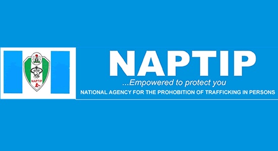 NAPTIP Rescued 15,000 Human Trafficking Victims, Prosecutes 500 Offenders