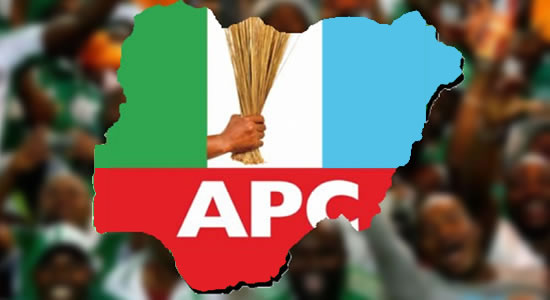 APC-Borno