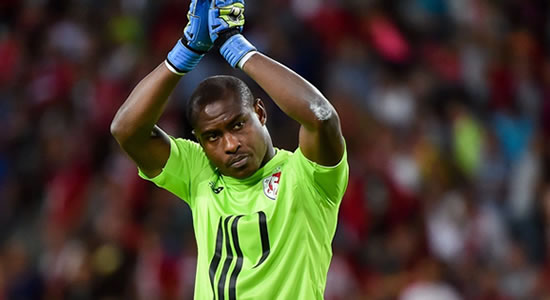 Enyeama Makes All-Time African Best XI