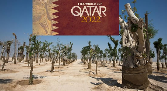 Qatar-Trees