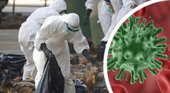 FG Secures Borders Over Outbreak Of Bird Flu In Neighboring Countries